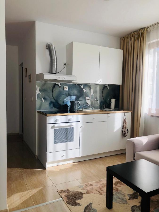 Temerso Studio-Apartment Bansko Extérieur photo